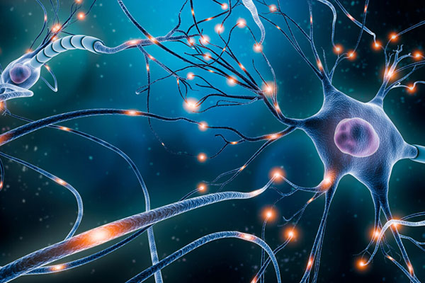 Neurônios
